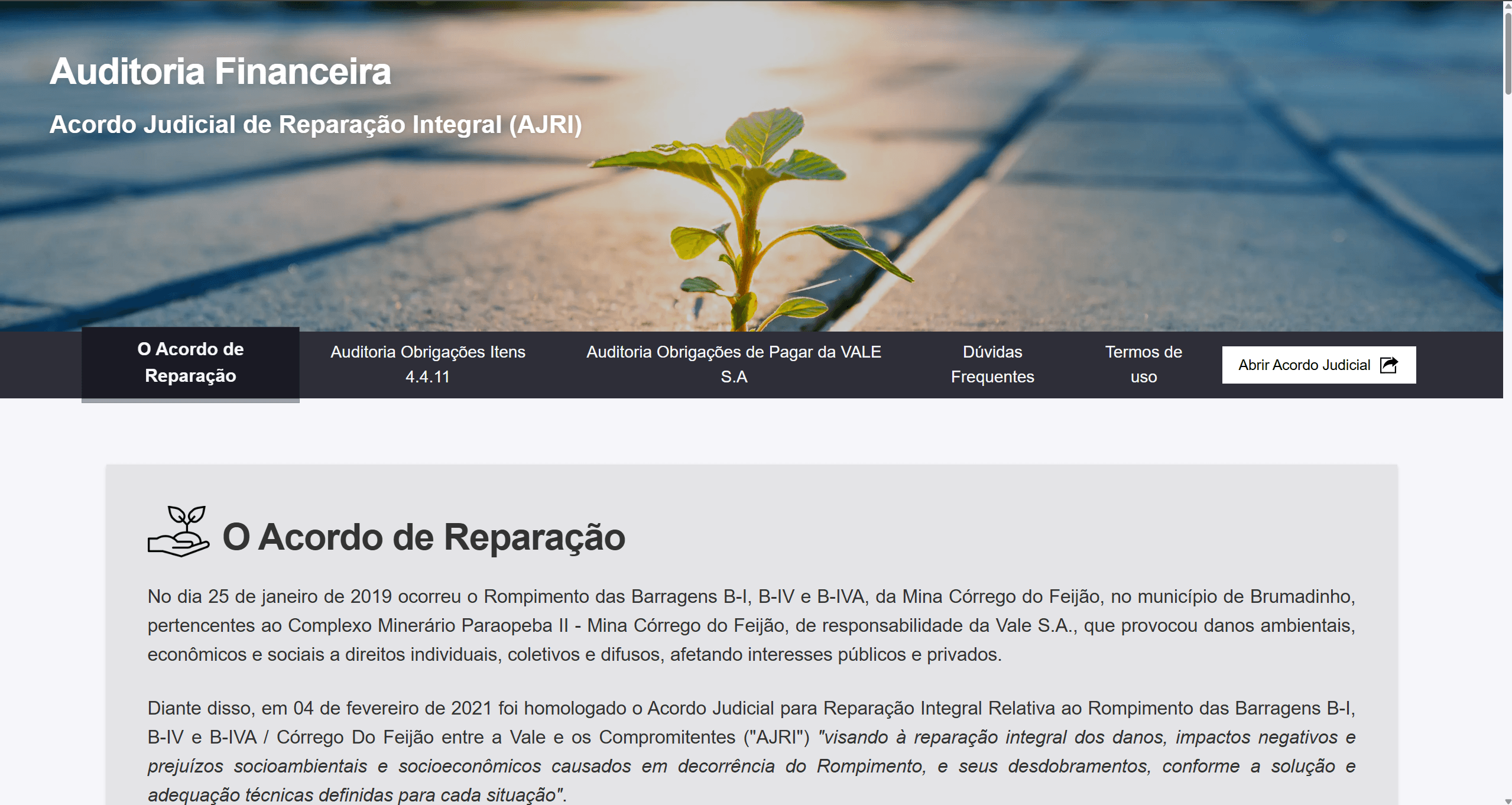 Página inicial do portal de Auditoria Financeira AJRI com cabeçalho, navegação por seções do acordo e bloco de apresentação